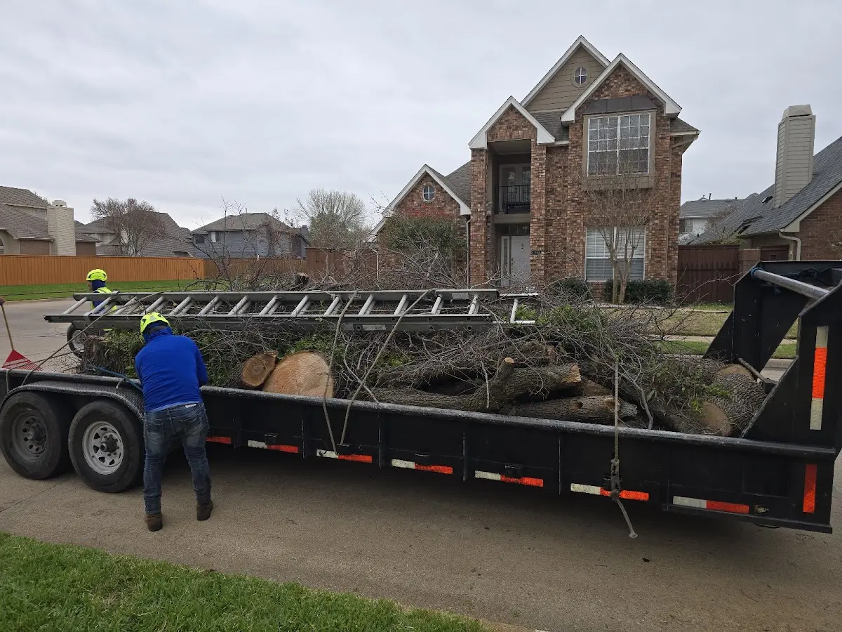 Expert Tree Fertilization with proper safety equipment in Crossville